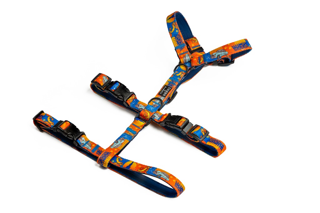 DSC_9022-Edit (Copy).jpg