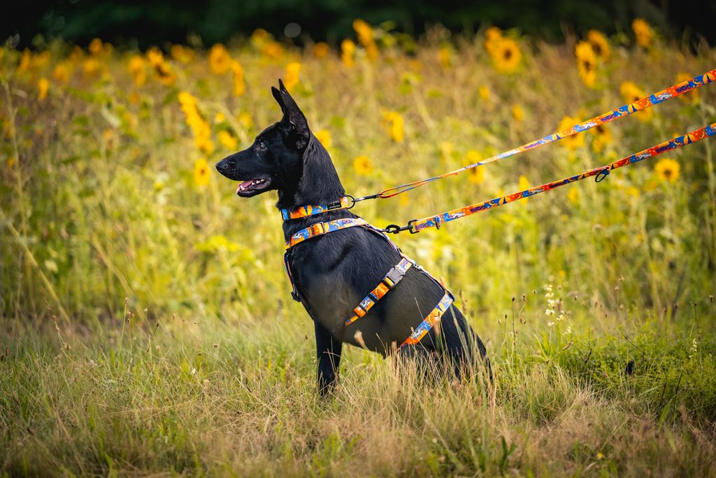 DSC_8769-Edit (Copy).jpg